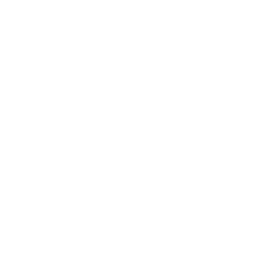 Windows 11 Pro